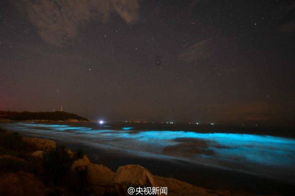 奔跑的兔子