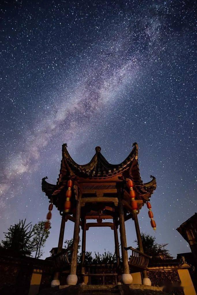 救援可爱小松鼠