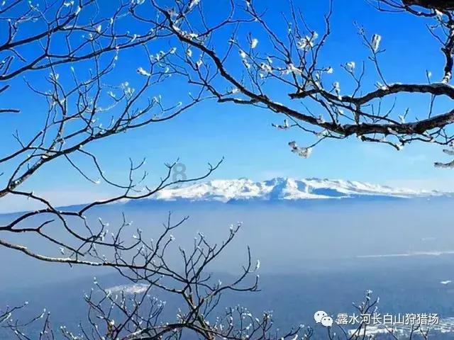 全民烧脑3去广告版